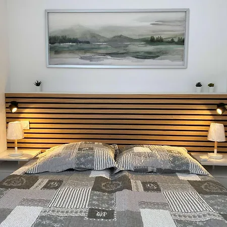 Apartment T1 Renove Avec Balcon, Clim, Wifi, A - Fr-1-553-220