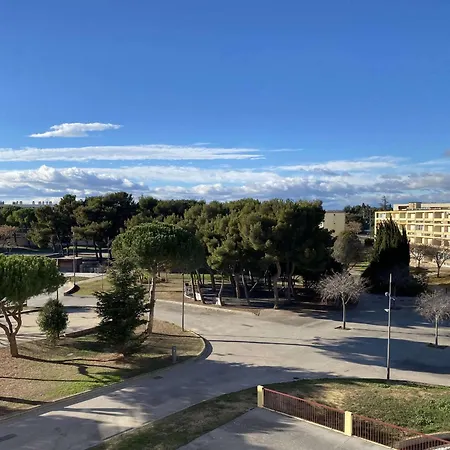 Apartment T1 Renove Avec Balcon, Clim, Wifi, A - Fr-1-553-220 Balaruc-les-Bains